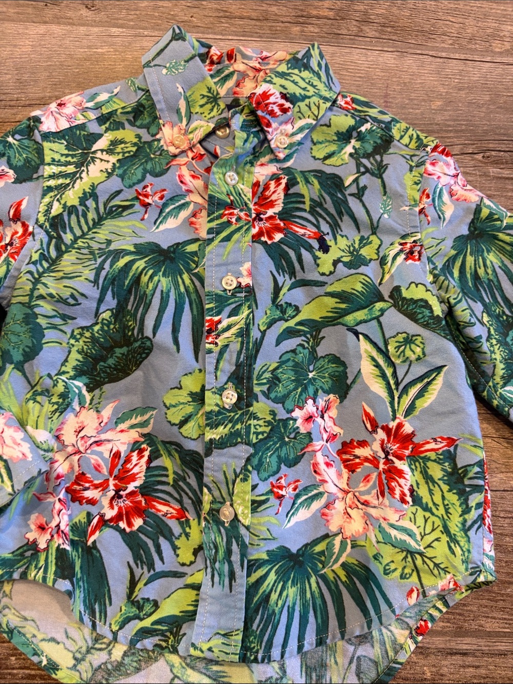 Ralph Lauren toddler, boys  2t Tropical button down Hawaiian shirt - Picture 2 of 4